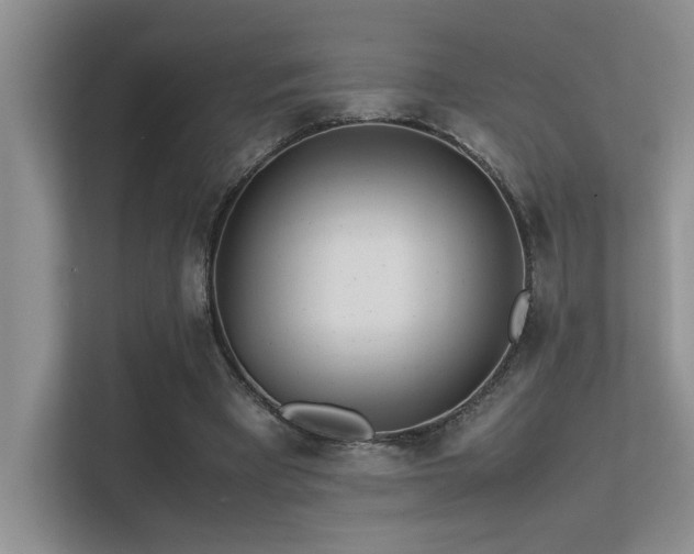 X0000113350393200909151158