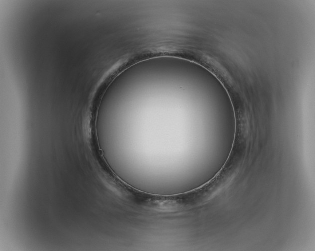 X0000113350395200909151158