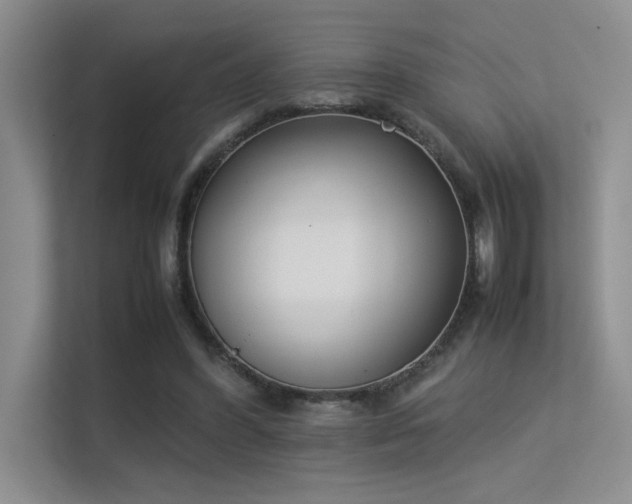 X0000113350396200909151158