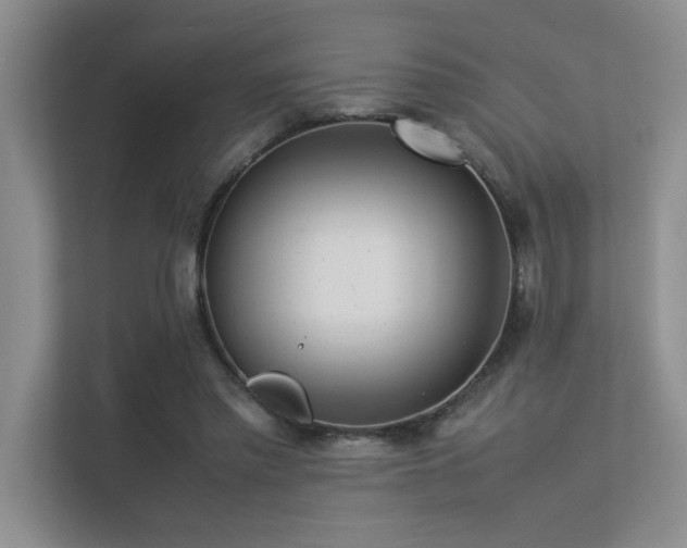 X0000113350397200909151158