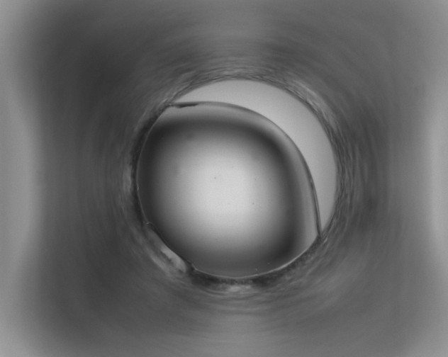 X0000113350401200909151157