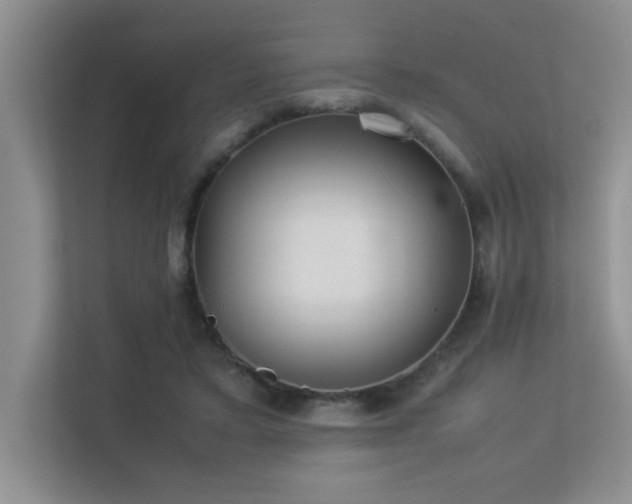 X0000113350403200909151157