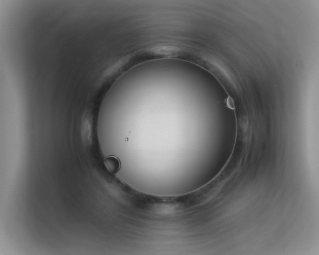 X0000113350404200909151157