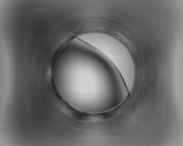 X0000113350405200909151157