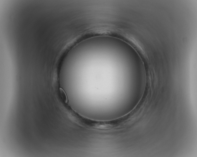X0000113350407200909151157