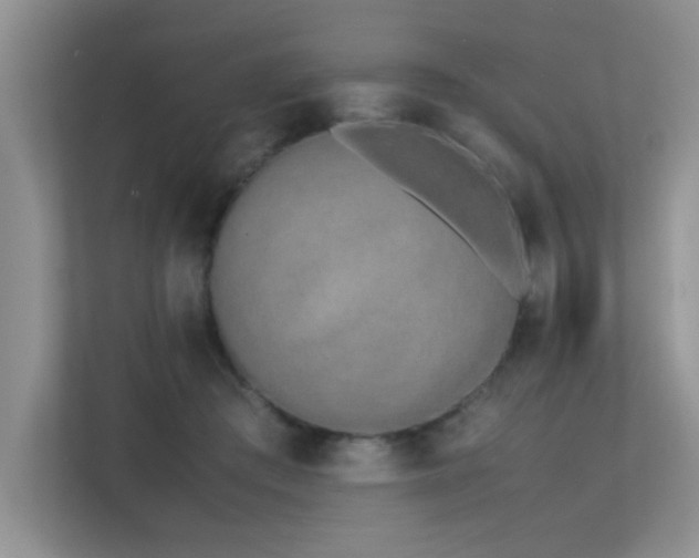 X0000113350409200909151157