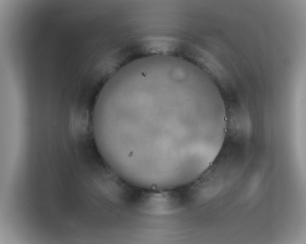 X0000113350411200909151157