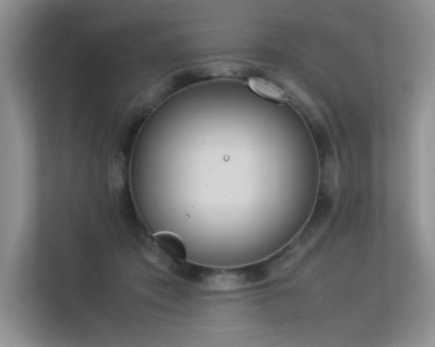 X0000113350413200909151157