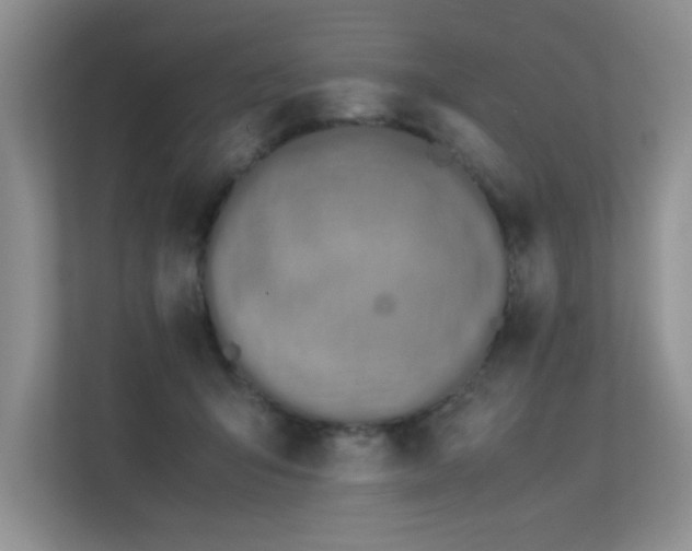 X0000113350415200909151157