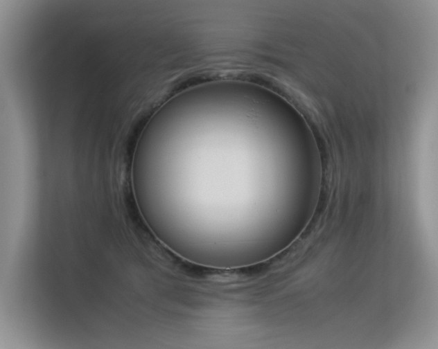 X0000113350417200909151157