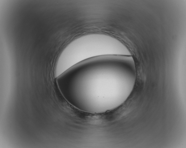 X0000113350419200909151157