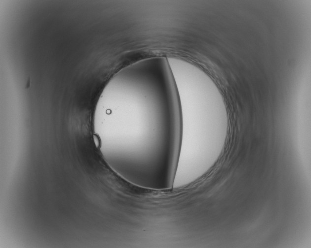 X0000113350421200909151157