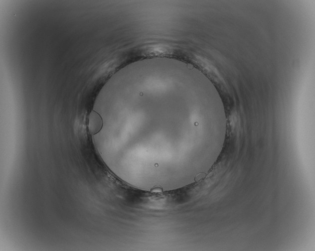 X0000113350423200909151157