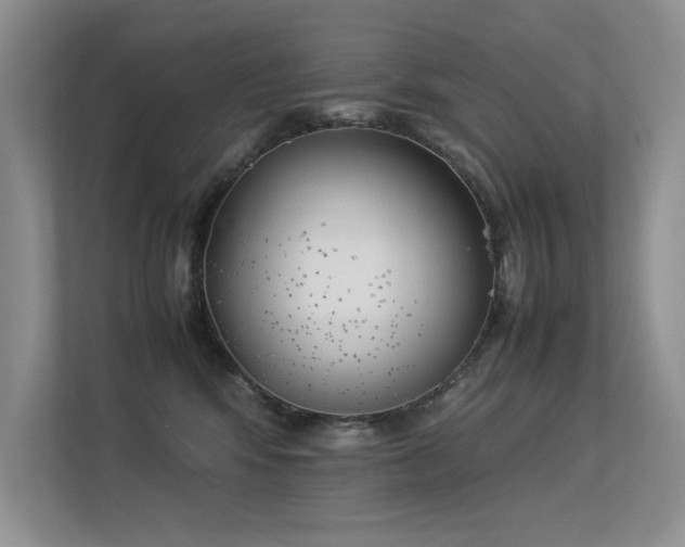 X0000113350424200909151157