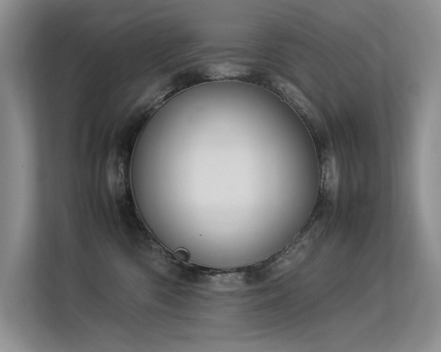 X0000113350426200909151157