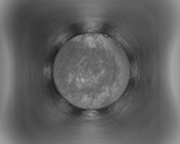 X0000113350427200909151157