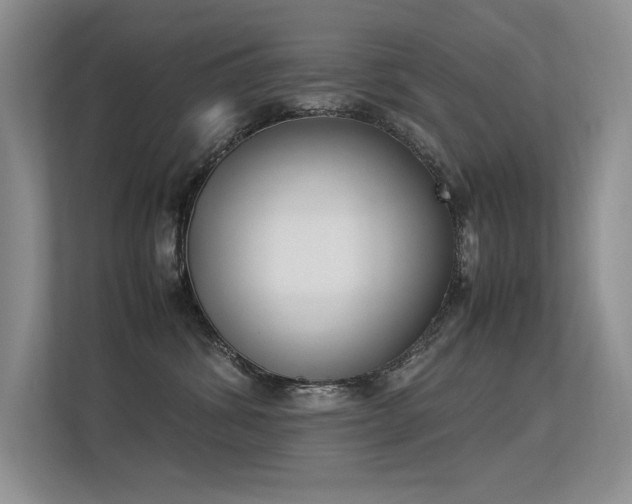 X0000113350428200909151157