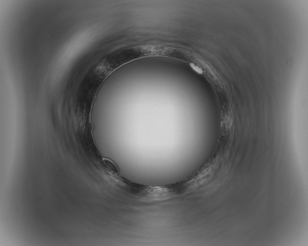 X0000113350429200909151157