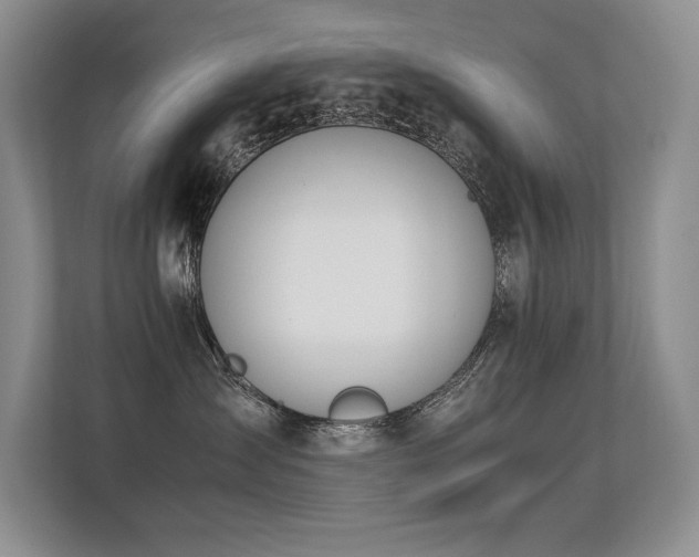 X0000113350431200909151157