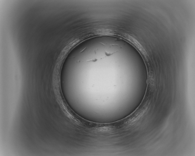 X0000113350433200909151156