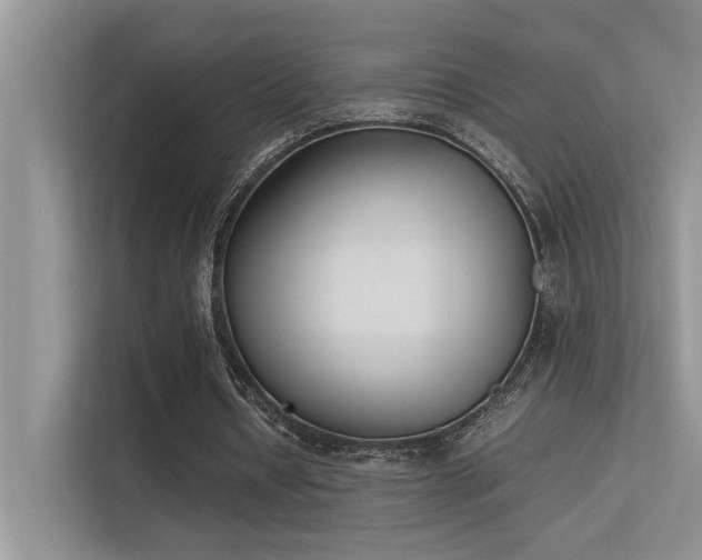 X0000113350434200909151156