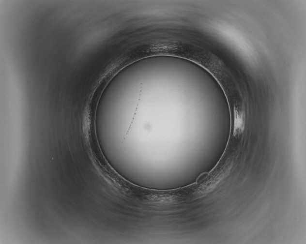 X0000113350435200909151156