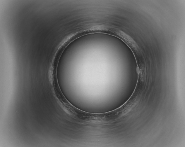 X0000113350436200909151156
