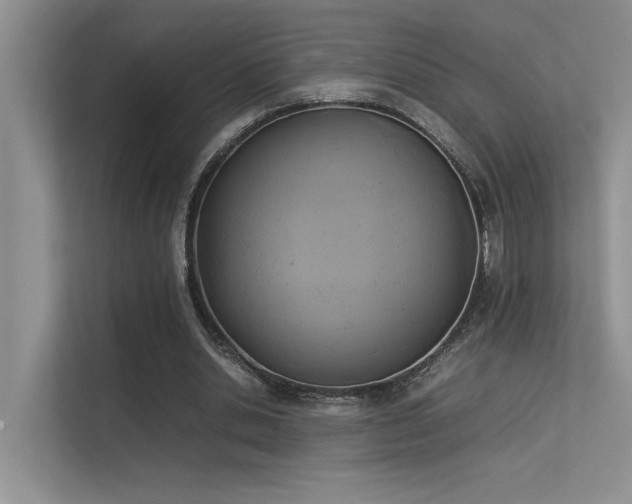X0000113350438200909151157