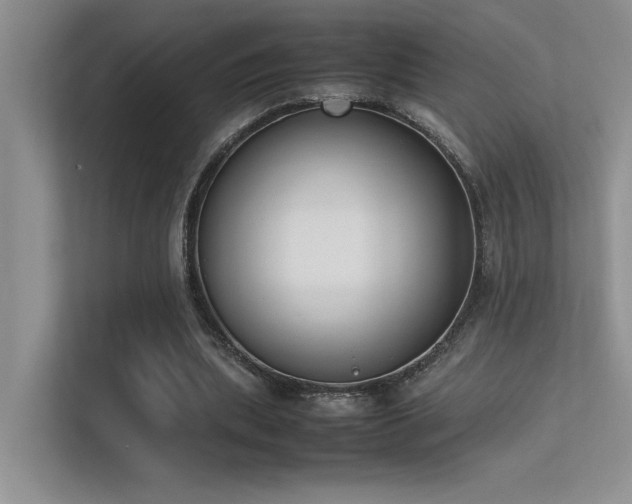 X0000113350439200909151157