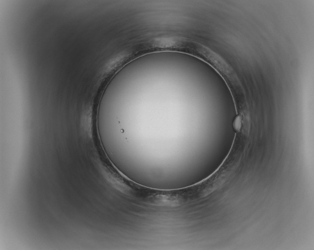 X0000113350442200909151157
