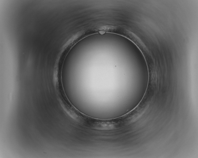 X0000113350443200909151157