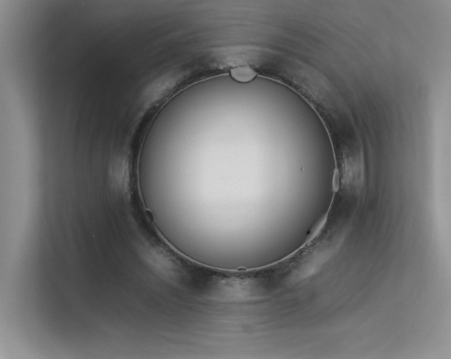 X0000113350444200909151157