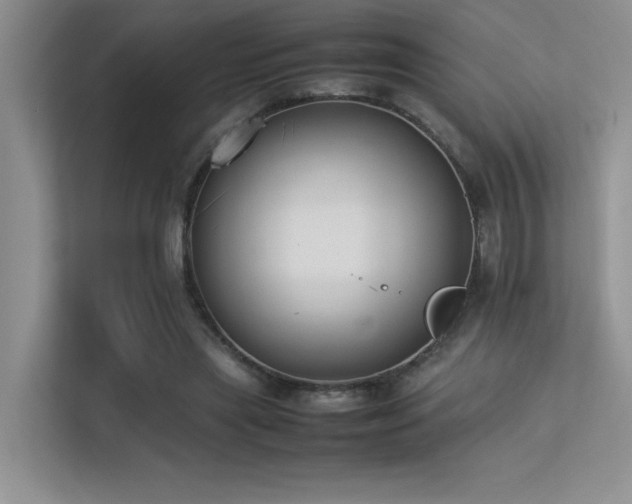 X0000113350445200909151157