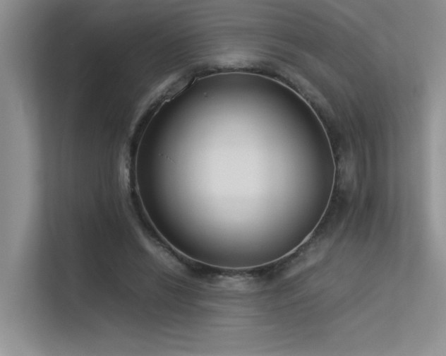 X0000113350446200909151157