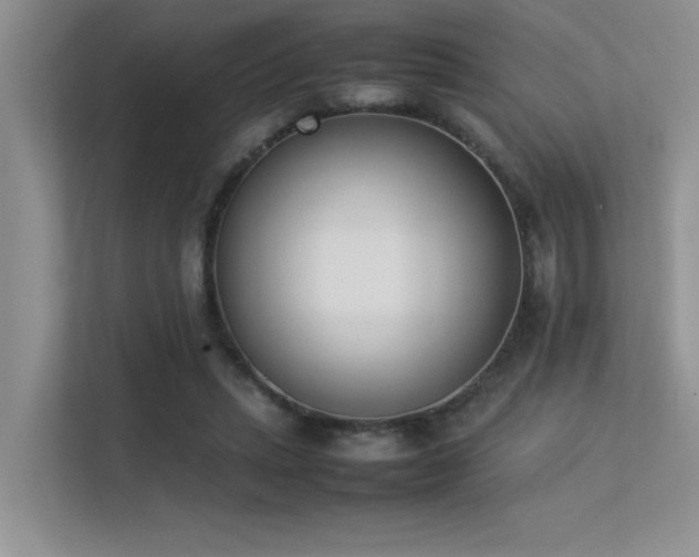 X0000113350447200909151157