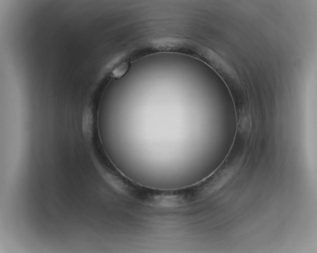 X0000113350448200909151157