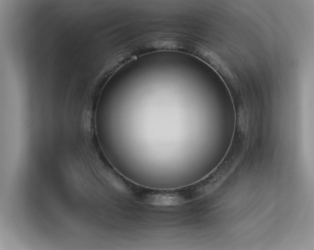 X0000113350449200909151157