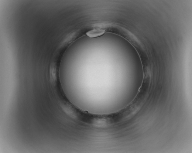 X0000113350452200909151157