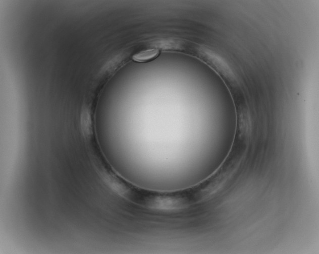 X0000113350453200909151157
