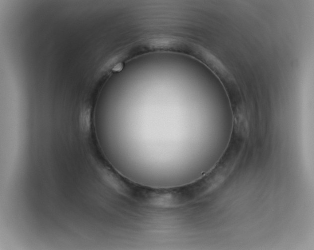 X0000113350454200909151157