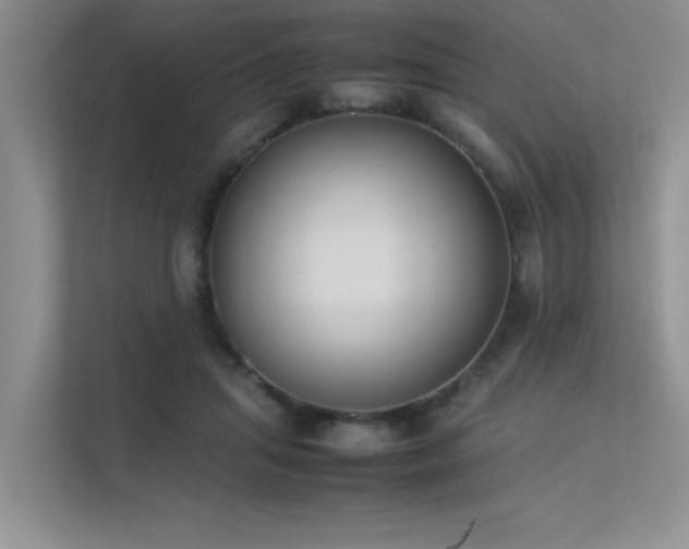 X0000113350455200909151157