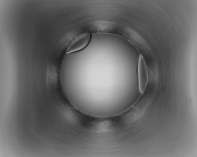 X0000113350456200909151157