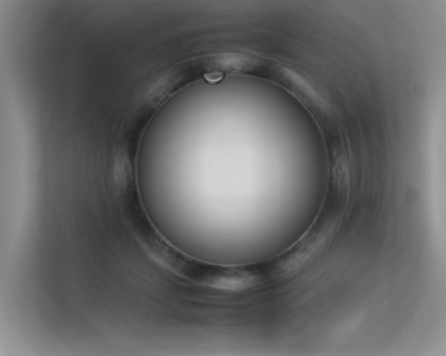 X0000113350459200909151157