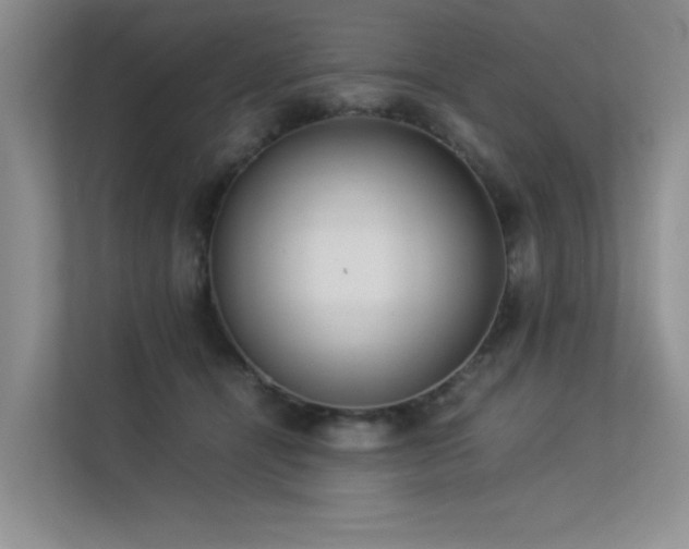 X0000113350464200909151157