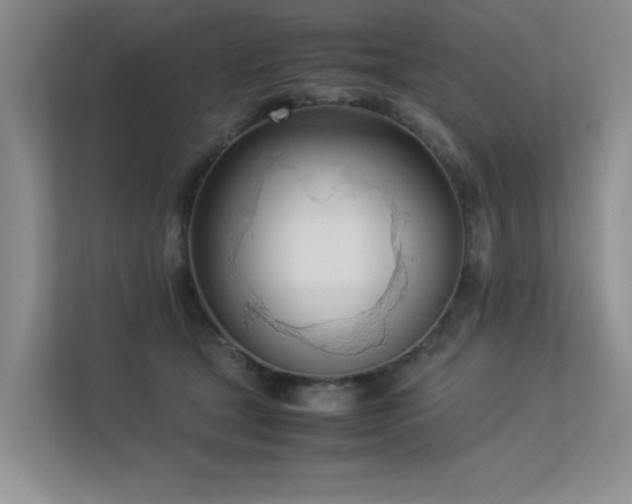 X0000113350465200909151157