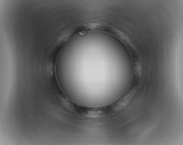 X0000113350470200909151157