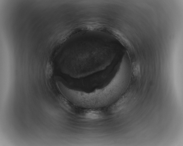 X0000113350471200909151157