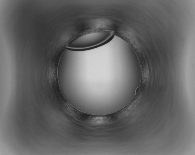 X0000113350473200909151157