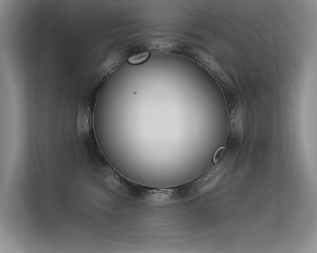 X0000113350474200909151157