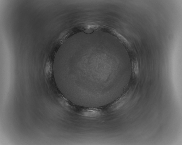 X0000113350475200909151157